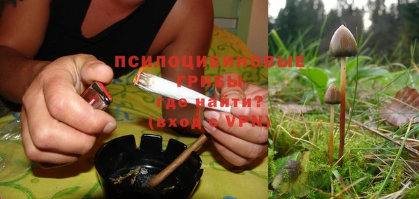 мдпв Богданович