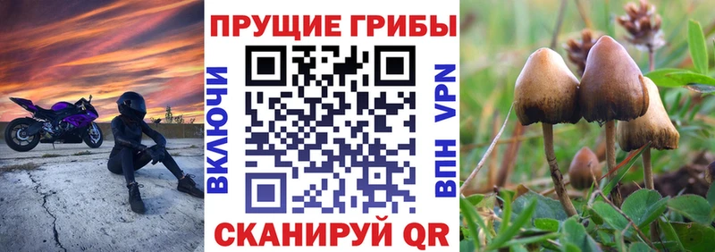 Псилоцибиновые грибы MAGIC MUSHROOMS  Верхний Тагил 